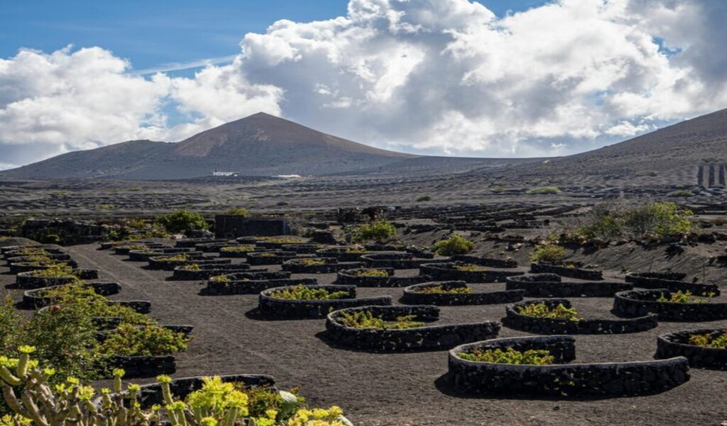 Arca Inmobiliaria: terrenos y naves en Canarias