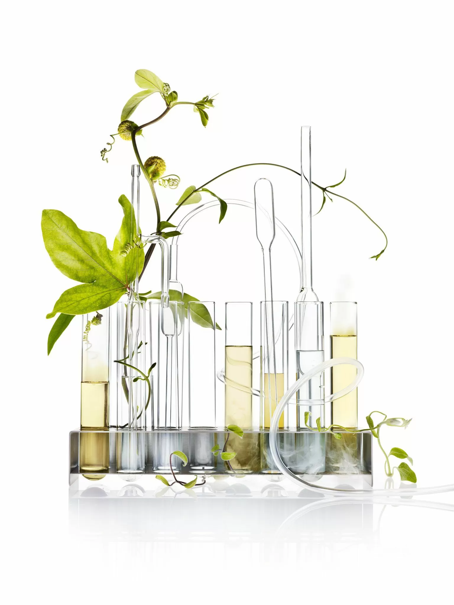 Distribuidor de RapidLash en España y la estrategia de posicionamiento de marca